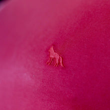 Carregar imagem no visualizador da galeria, T-shirt Acostamento Basic vermelha Chilli